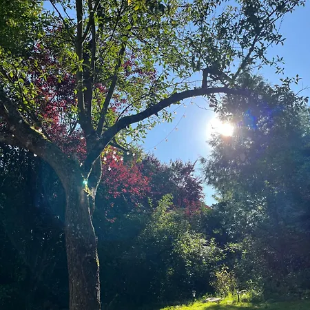 La Parenthese Enchantee シャレー