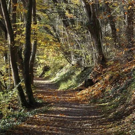 Domek alpejski La Parenthese Enchantee