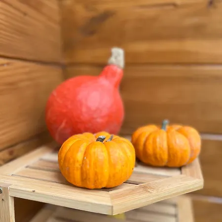 La Parenthese Enchantee ロシュフォール